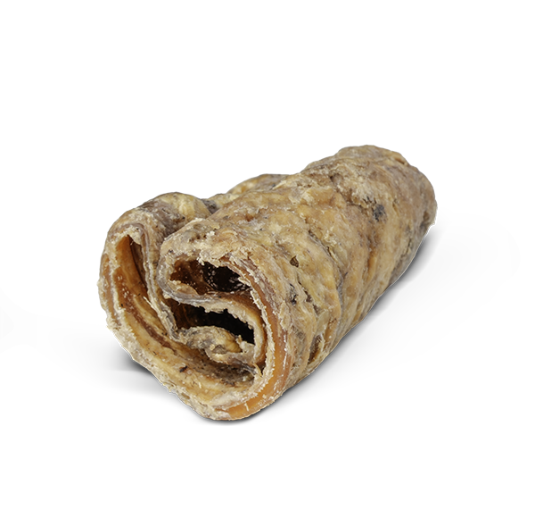 Pure - Trachea Bovina