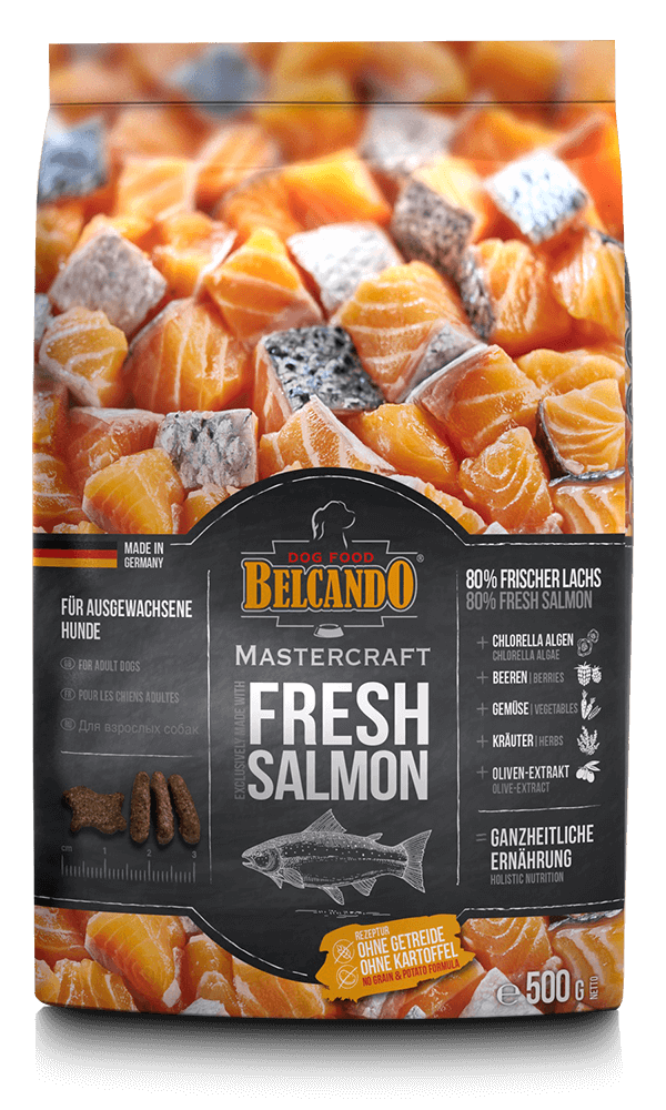 Belcando MASTERCRAFT Fresh Salmon Alimento secco