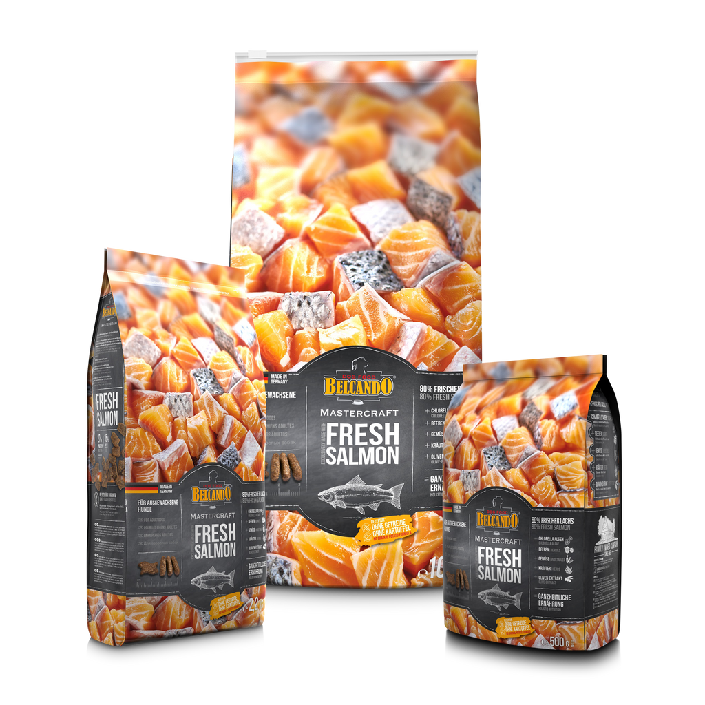 Belcando MASTERCRAFT Fresh Salmon Alimento secco