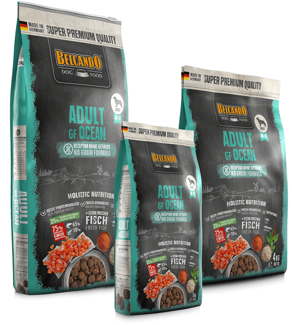 Belcando Adult GF Ocean Salmone fresco