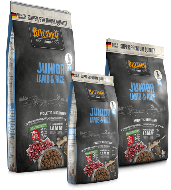 Belcando Junior Lamb & Rice Agnello fresco
