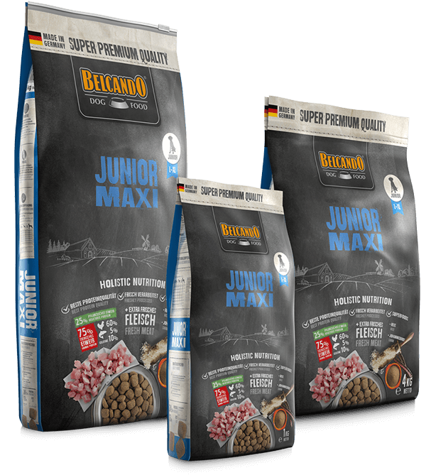 Belcando Junior Maxi Pollame fresco
