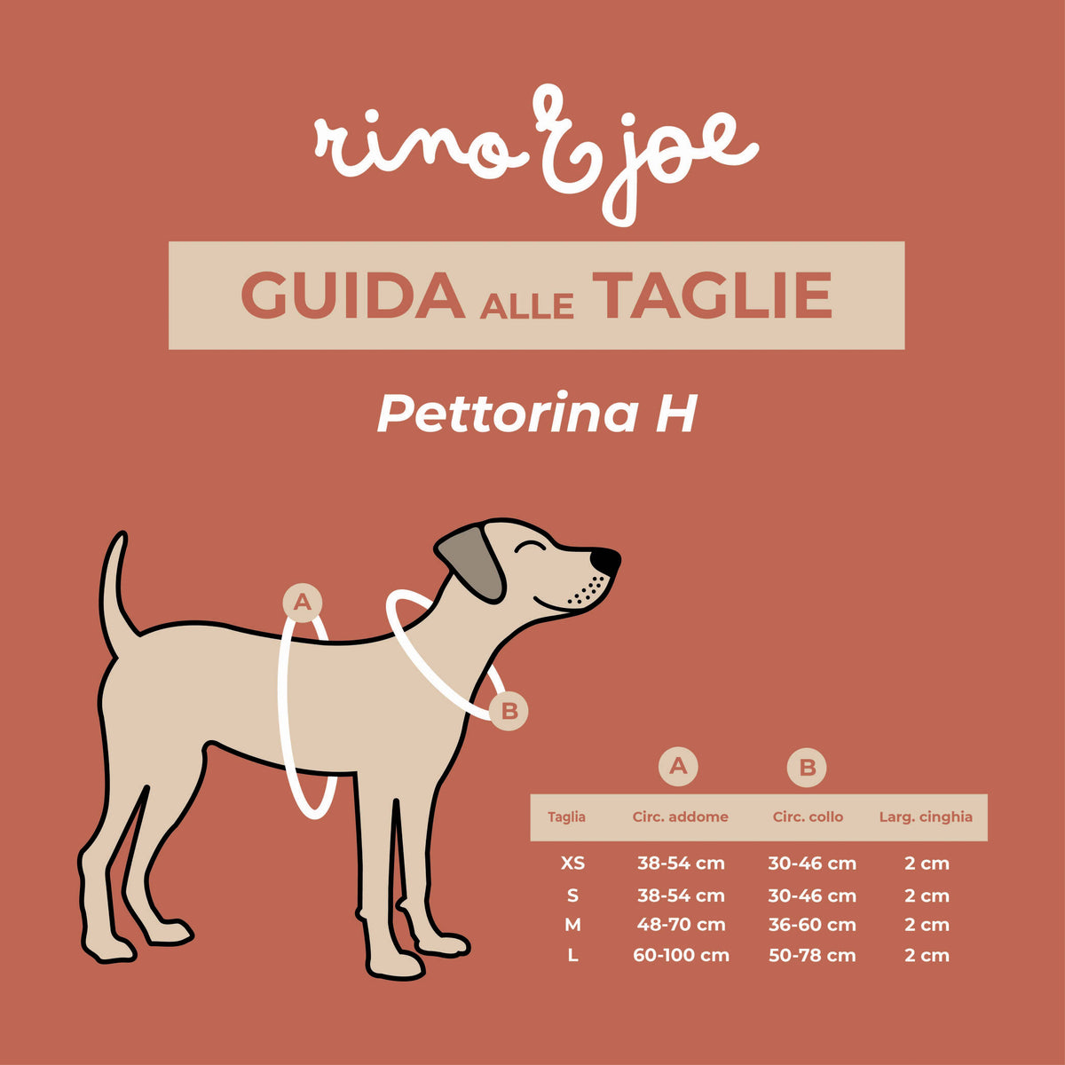 Pettorina ad H Regolabile per Cani | Comoda, Leggera, Sicura e Resistente | Zig Zag - Rino & Joe