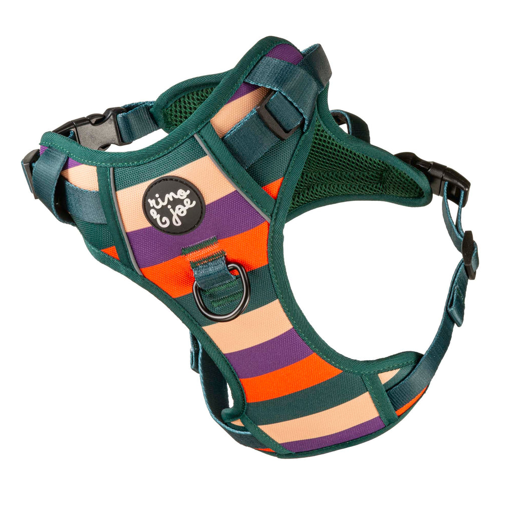 Pettorina Oxford Trail Regolabile per Cani | Comoda, Sicura e Resistente | Righe  - Rino & Joe