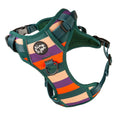 Pettorina Oxford Trail Regolabile per Cani | Comoda, Sicura e Resistente | Righe  - Rino & Joe