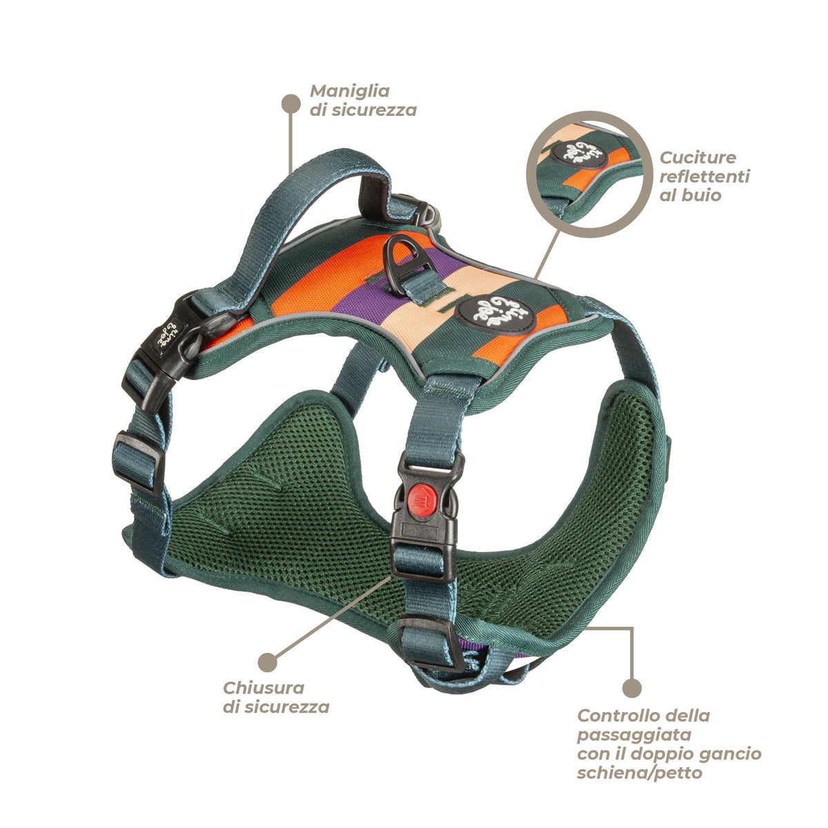 Pettorina Oxford Trail Regolabile per Cani | Comoda, Sicura e Resistente | Righe  - Rino & Joe