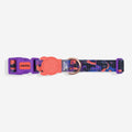 Zee.Dog - Collare Reebok Court