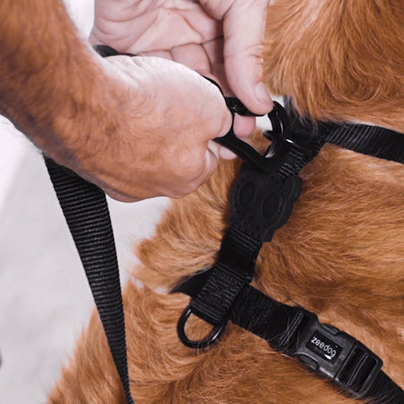 Zee.Dog - Pettorina ad H Reebok Trekk