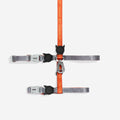 Zee.Dog - Set Pettorina e Guinzaglio Gatto Reebok Suede