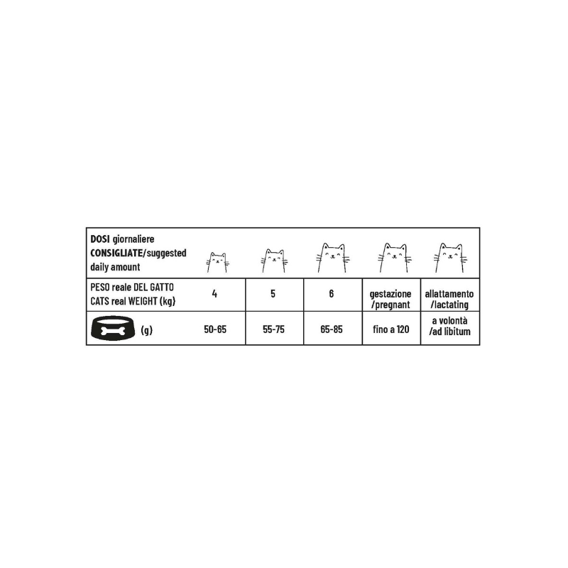 Pet 360 - Outdoor Adult cat - Ricco in Pollo
