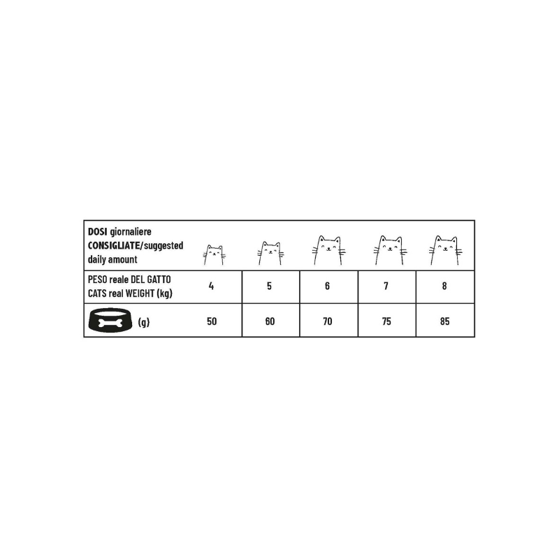 Pet 360 - Sterilized Adult cat - Ricco in Maiale
