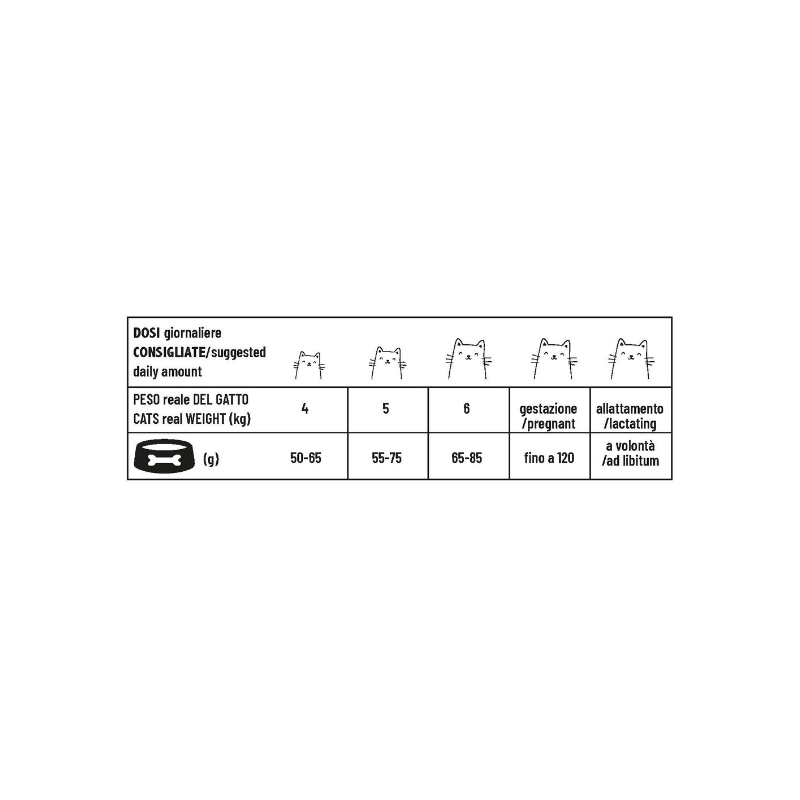 Pet 360 - Beauty Adult cat - Ricco in Pesce