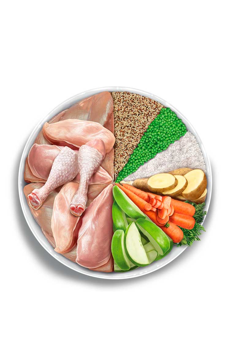 Amanova - Gattino - Pollo squisito - Pollo fresco