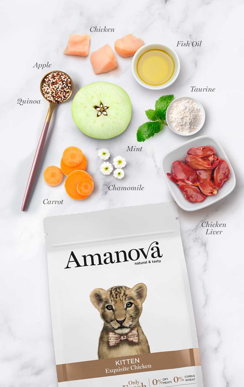 Amanova - Gattino - Pollo squisito - Pollo fresco