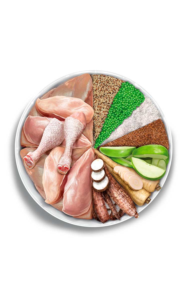 Amanova - Gatto Adulto - Pollo Squisito - Pollo fresco