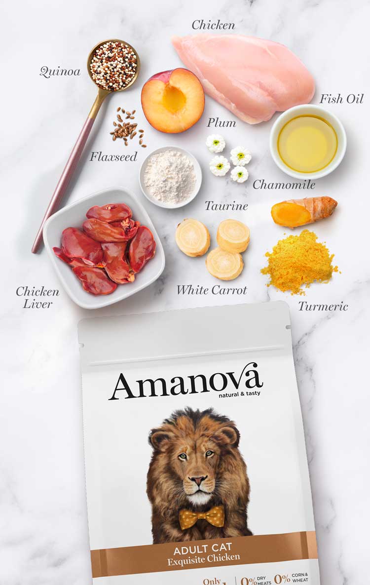 Amanova - Gatto Adulto - Pollo Squisito - Pollo fresco