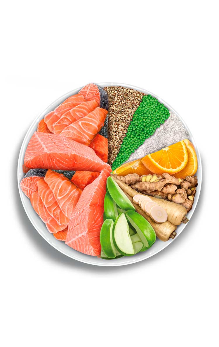 Amanova - Gatto Adulto - Salmone Deluxe - Salmone fresco