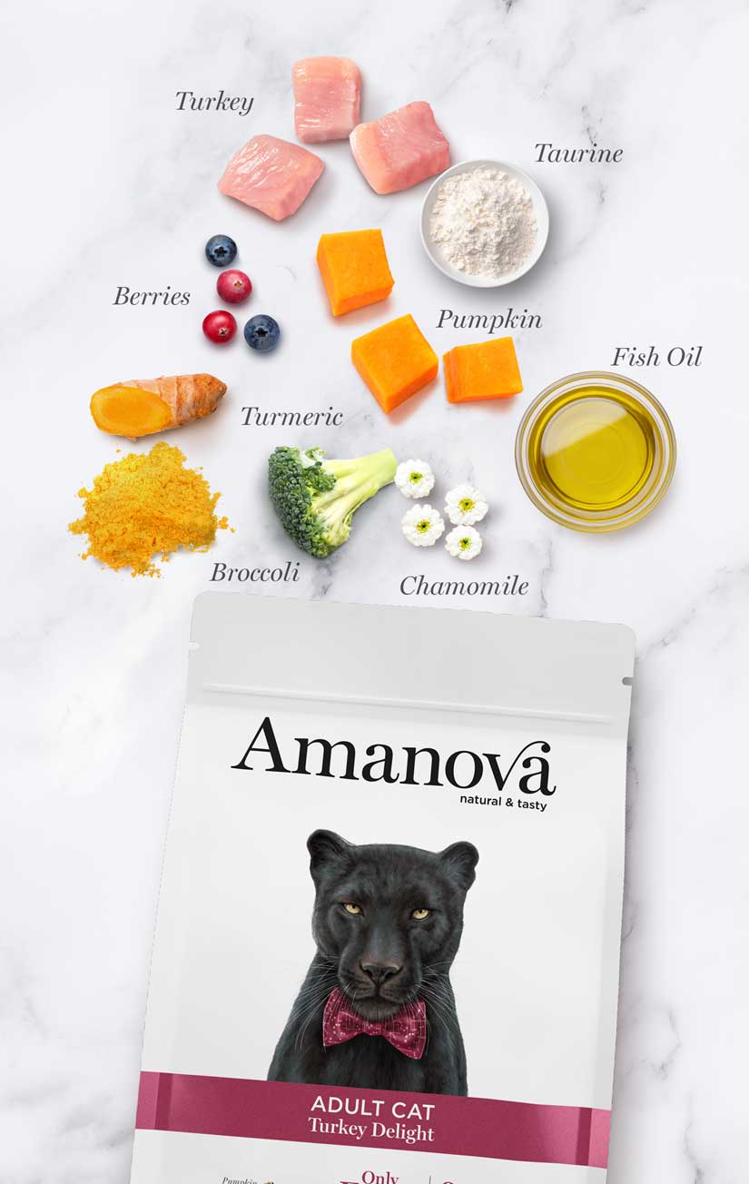 Amanova - Gatto adulto - Tacchino Delizia - Tacchino fresco