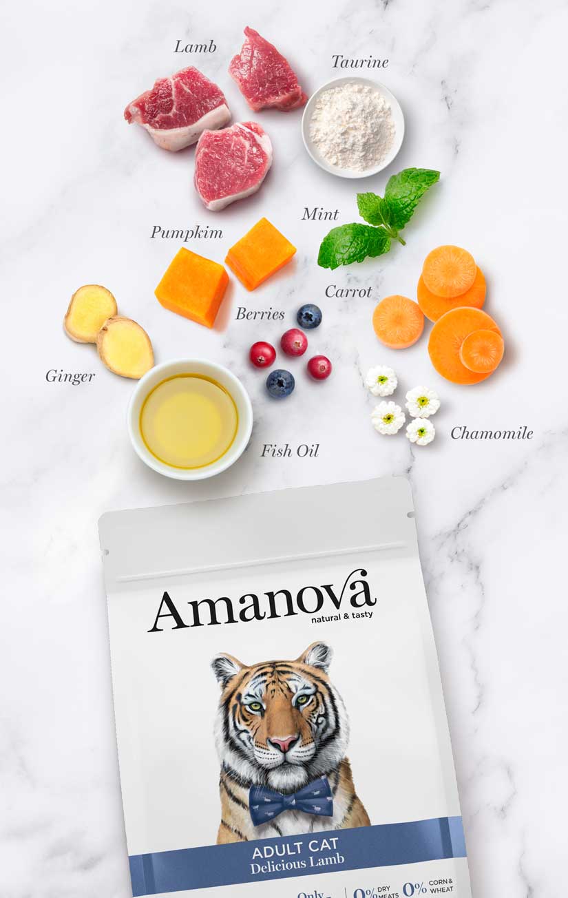 Amanova - Gatto Adulto - Agnello Delizioso - Agnello fresco