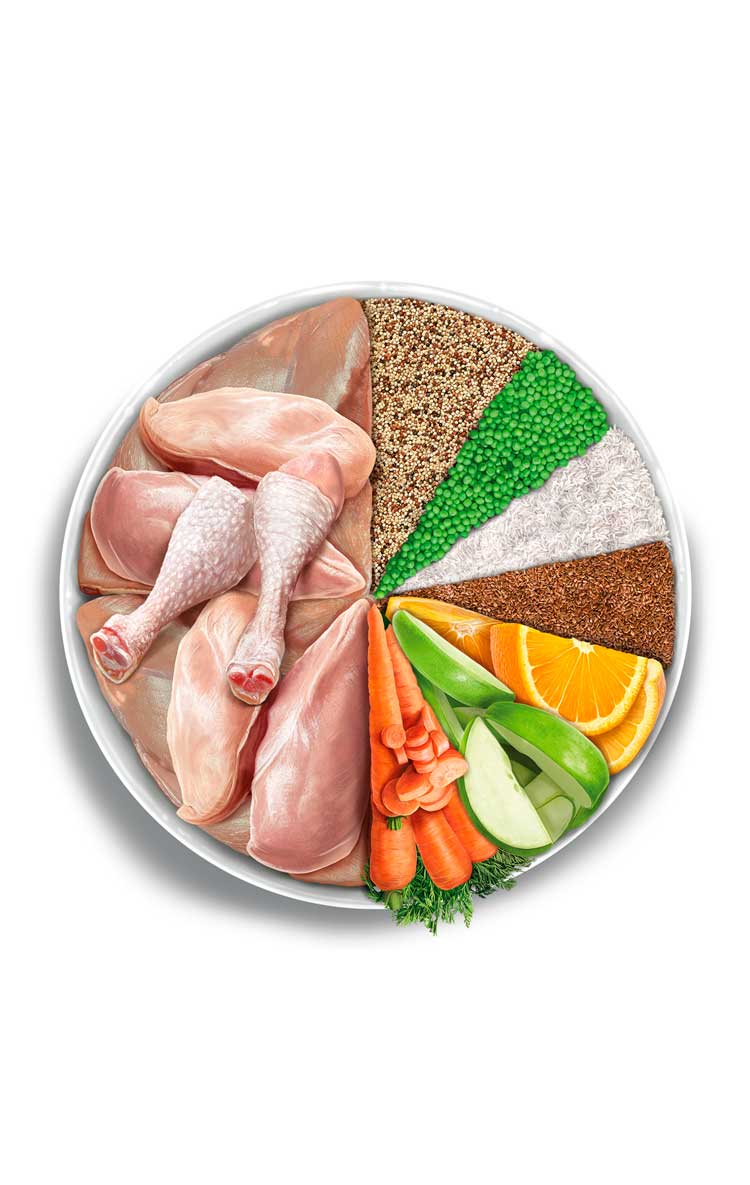 Amanova - Gatto Sterilizzato - Pollo Squisito - Pollo fresco