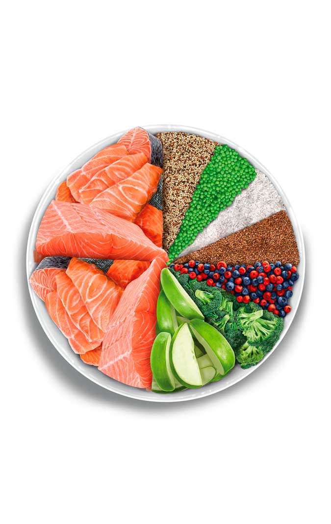 Amanova - Gatto Sterilizzato - Salmone Deluxe - Salmone fresco