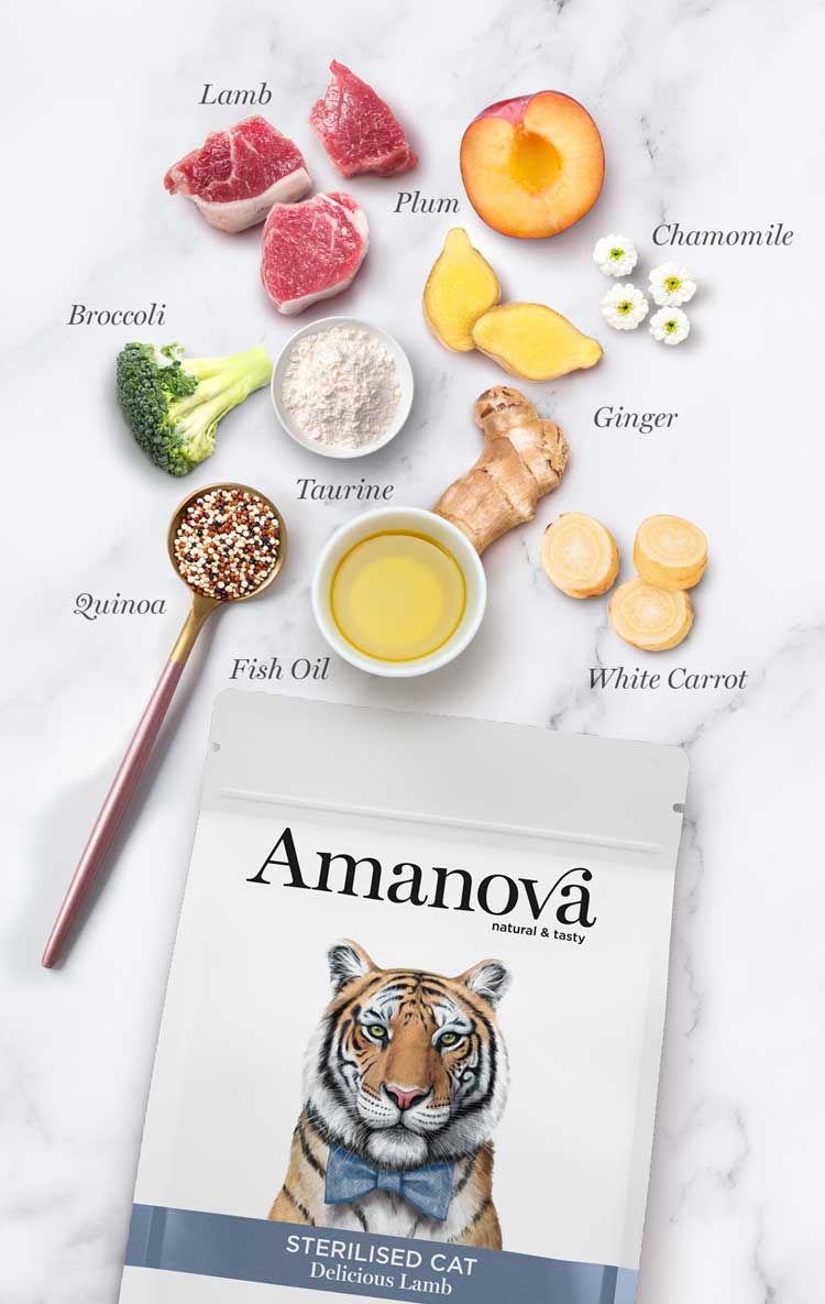 Amanova - Gatto Sterilizzato - Agnello Fresco