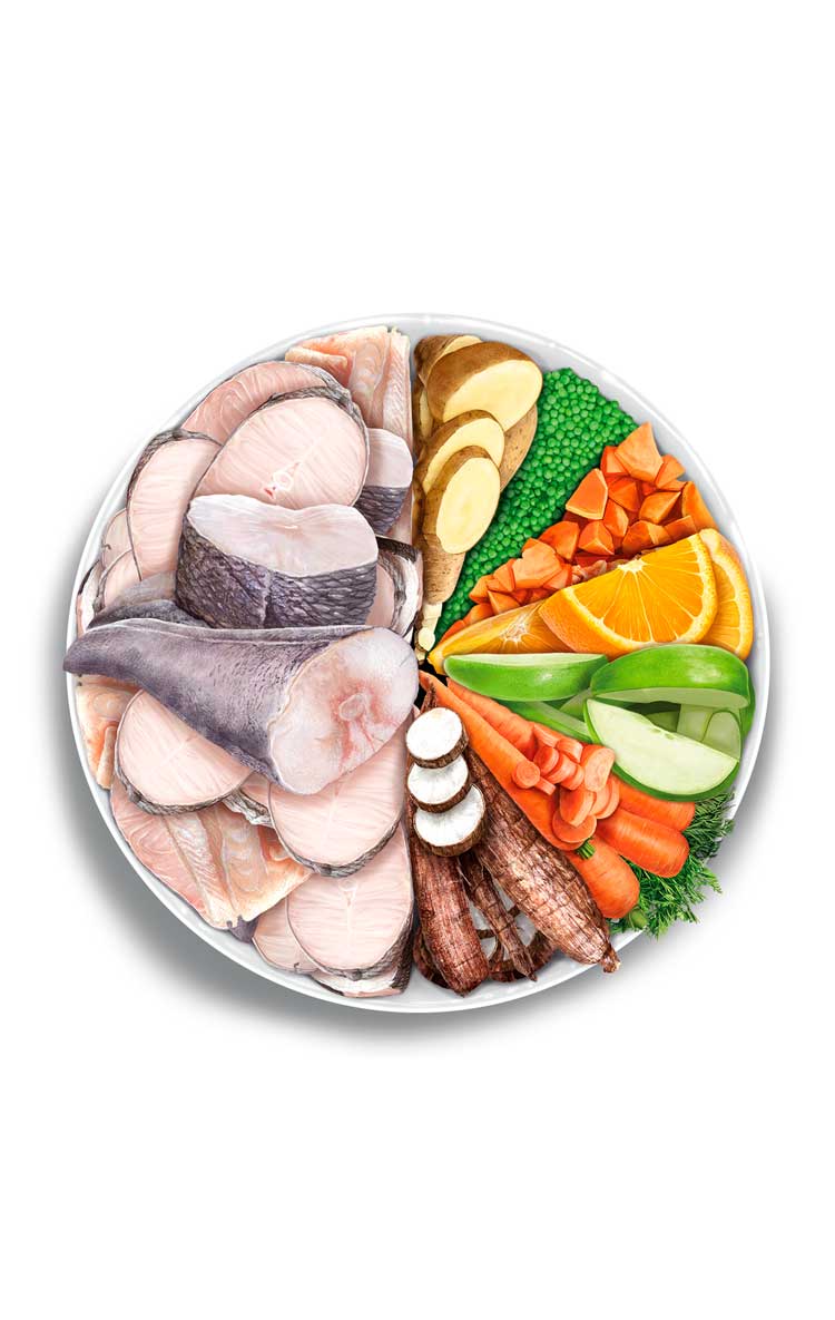 Amanova - Gatto sterilizzato - Delizia di pesce - Pesce bianco fresco