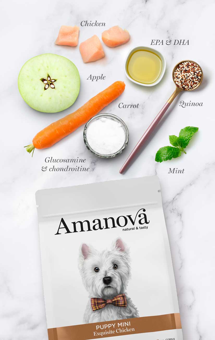 Amanova - Puppy mini - Exquisite Chicken - Pollo fresco