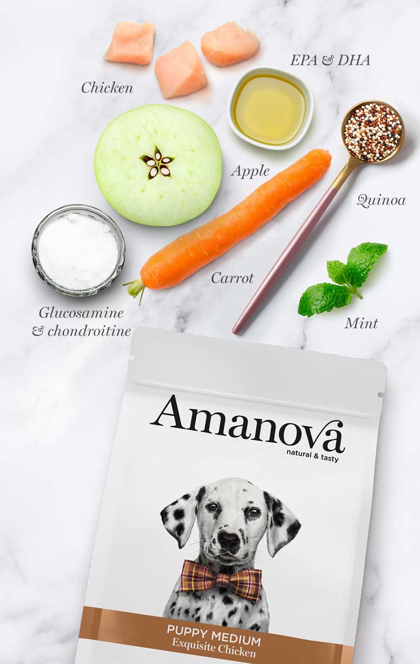 Amanova - Cuccioli taglia media - Pollo squisito - Pollo fresco