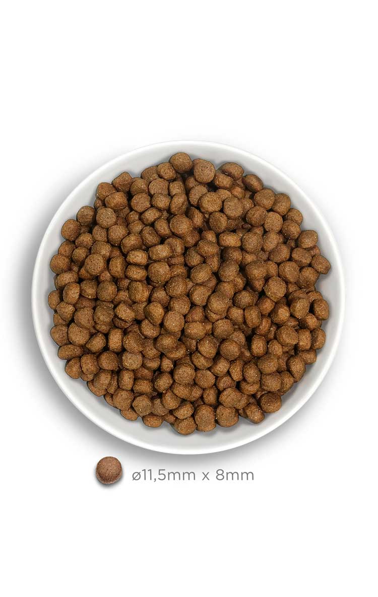 Amanova - Puppy grande - Pollo squisito - Pollo fresco - 12 kg