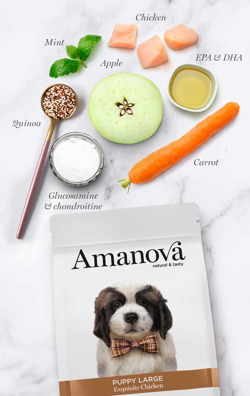 Amanova - Puppy grande - Pollo squisito - Pollo fresco - 12 kg