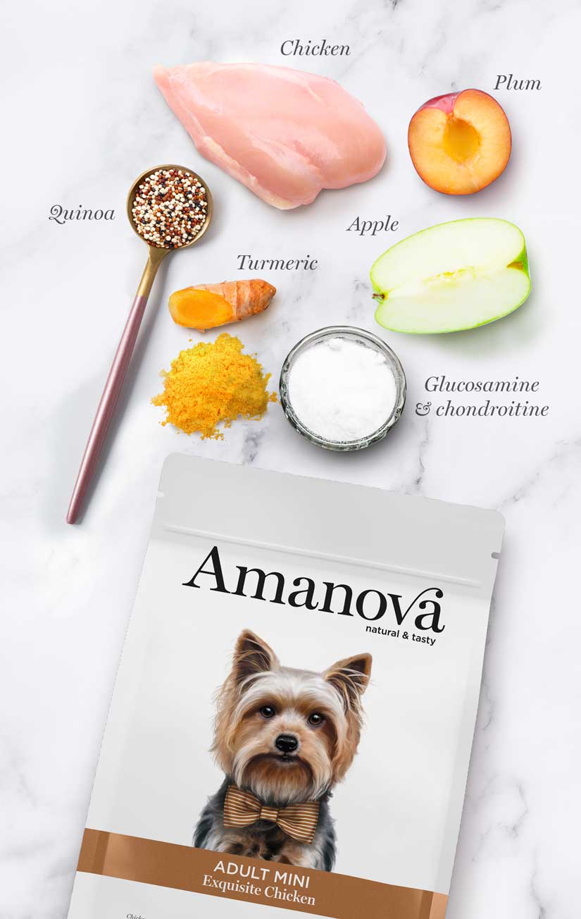 Amanova - Adult mini - Pollo squisito - Pollo fresco