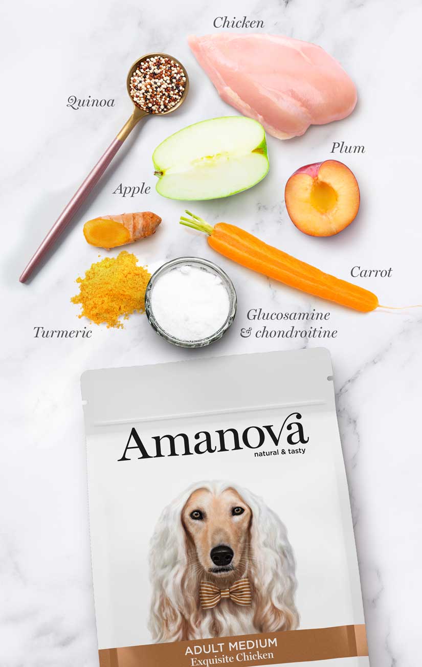 Amanova - Adult medium - Pollo squisito - Pollo fresco