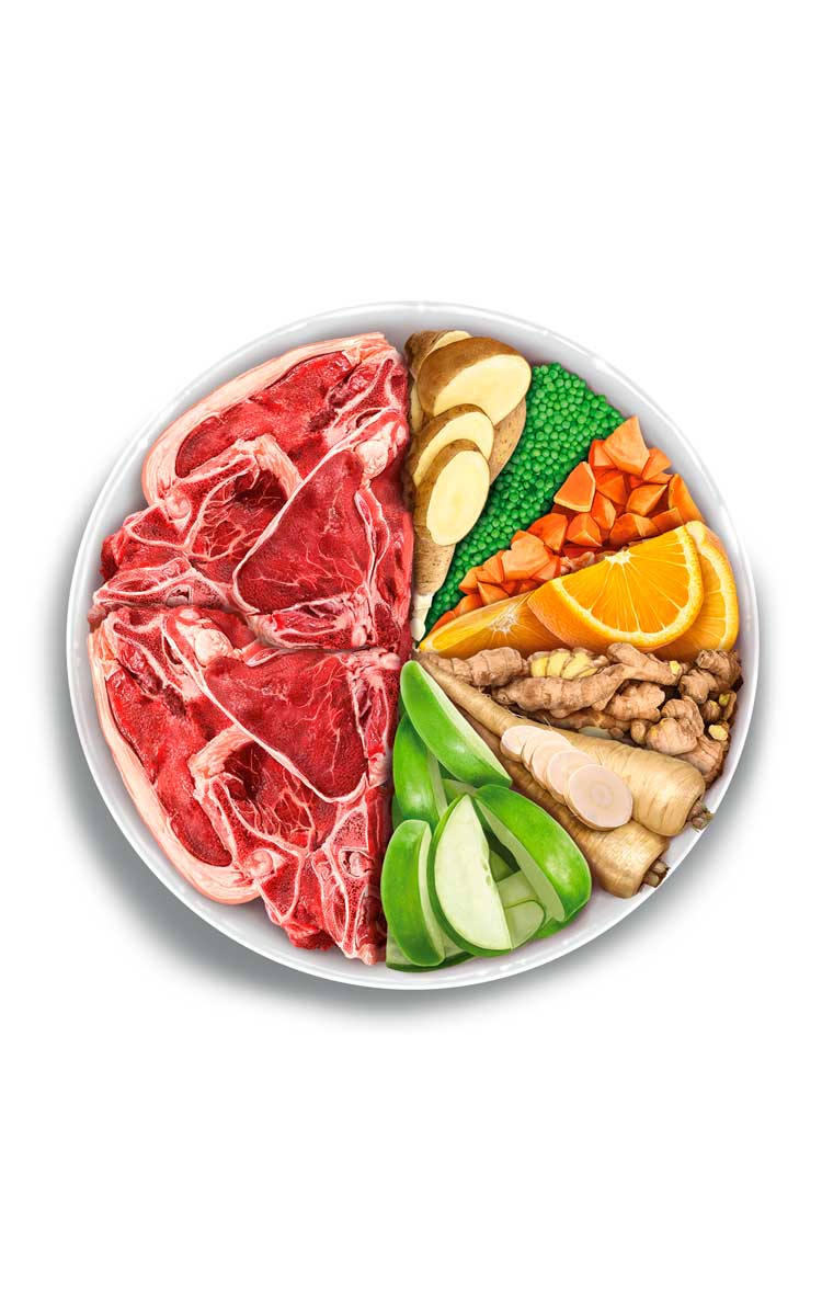 Amanova - Adult mini sensitive - Delizioso Agnello - Agnello fresco