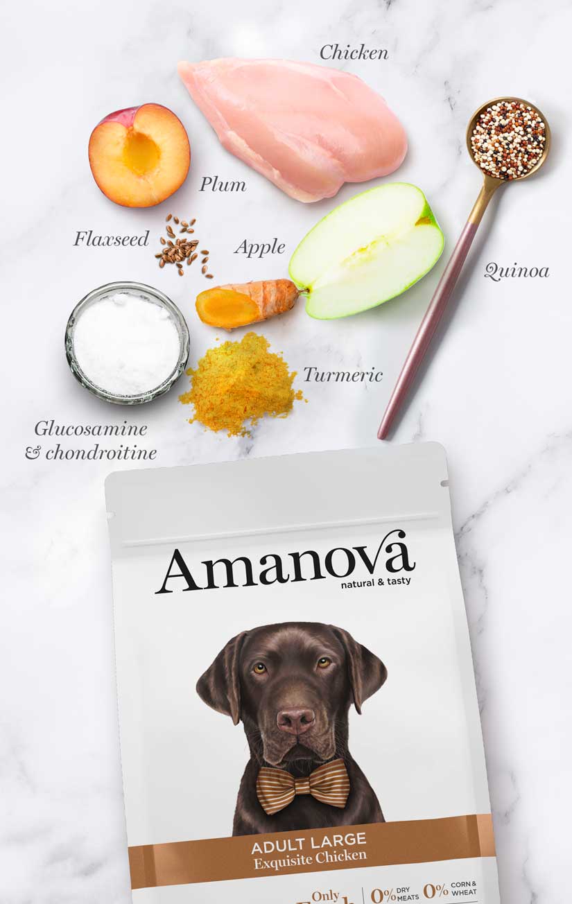 Amanova - Adult large - Exquisite Chicken - Pollo fresco - 12 kg
