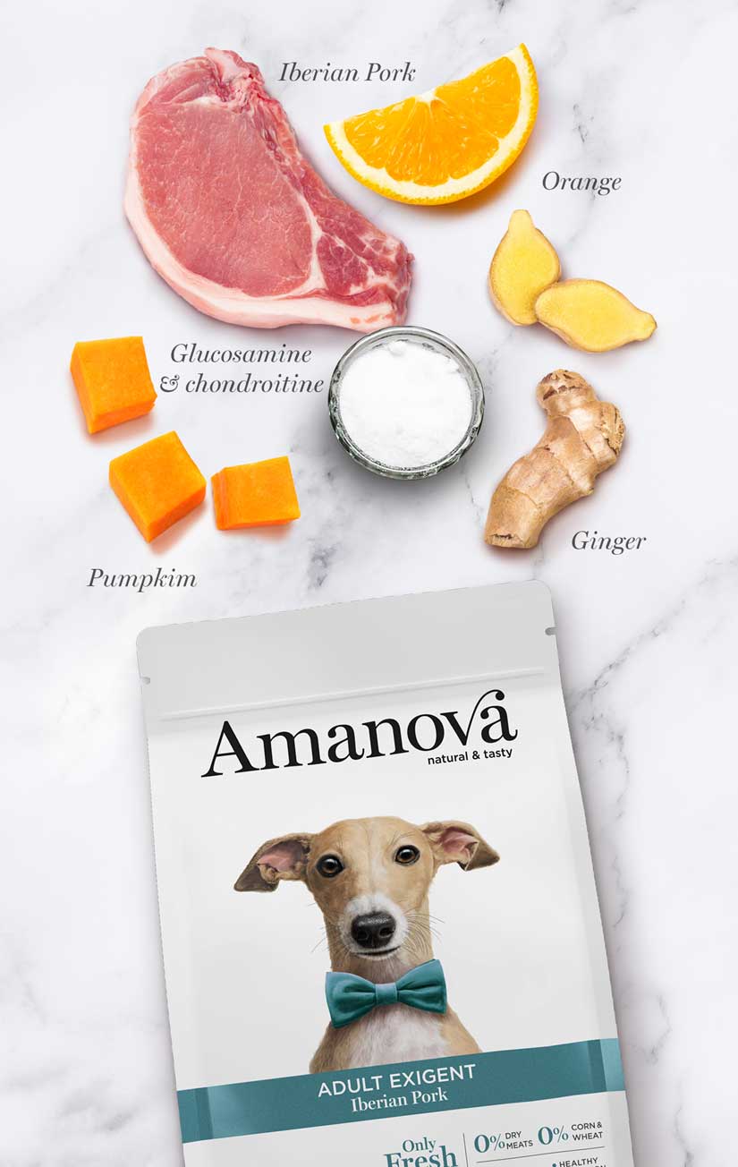 Amanova - Adult exigent - Iberian Pork - Maiale iberico fresco