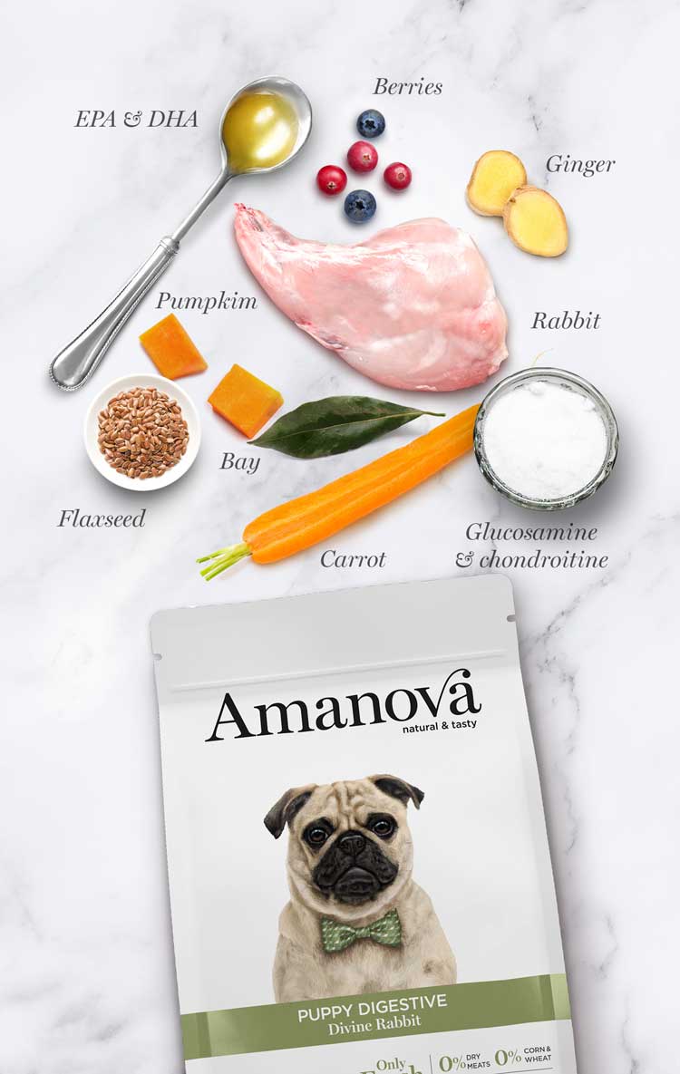 Amanova - Puppy digestive - Coniglio divino - Coniglio fresco