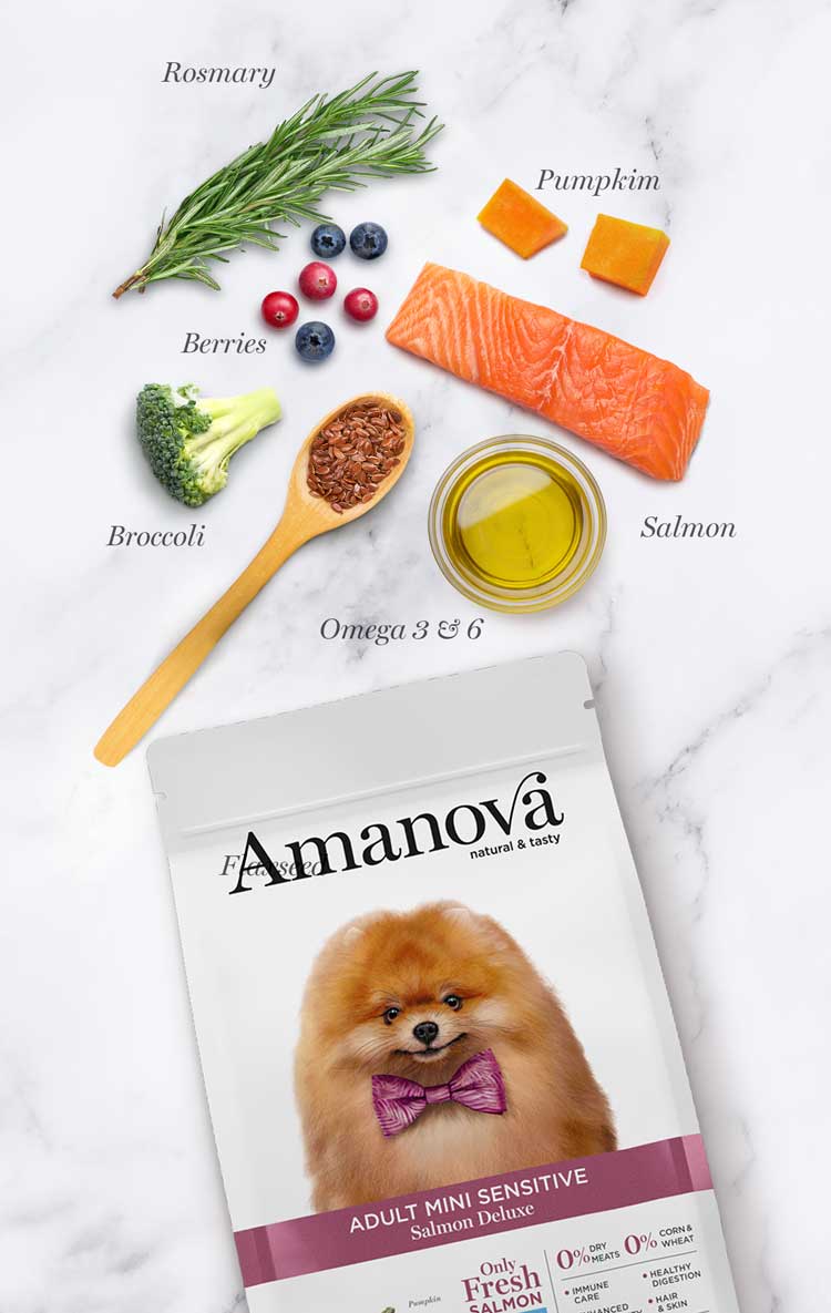 Amanova - Adult mini sensitive - Salmone Deluxe - Salmone fresco