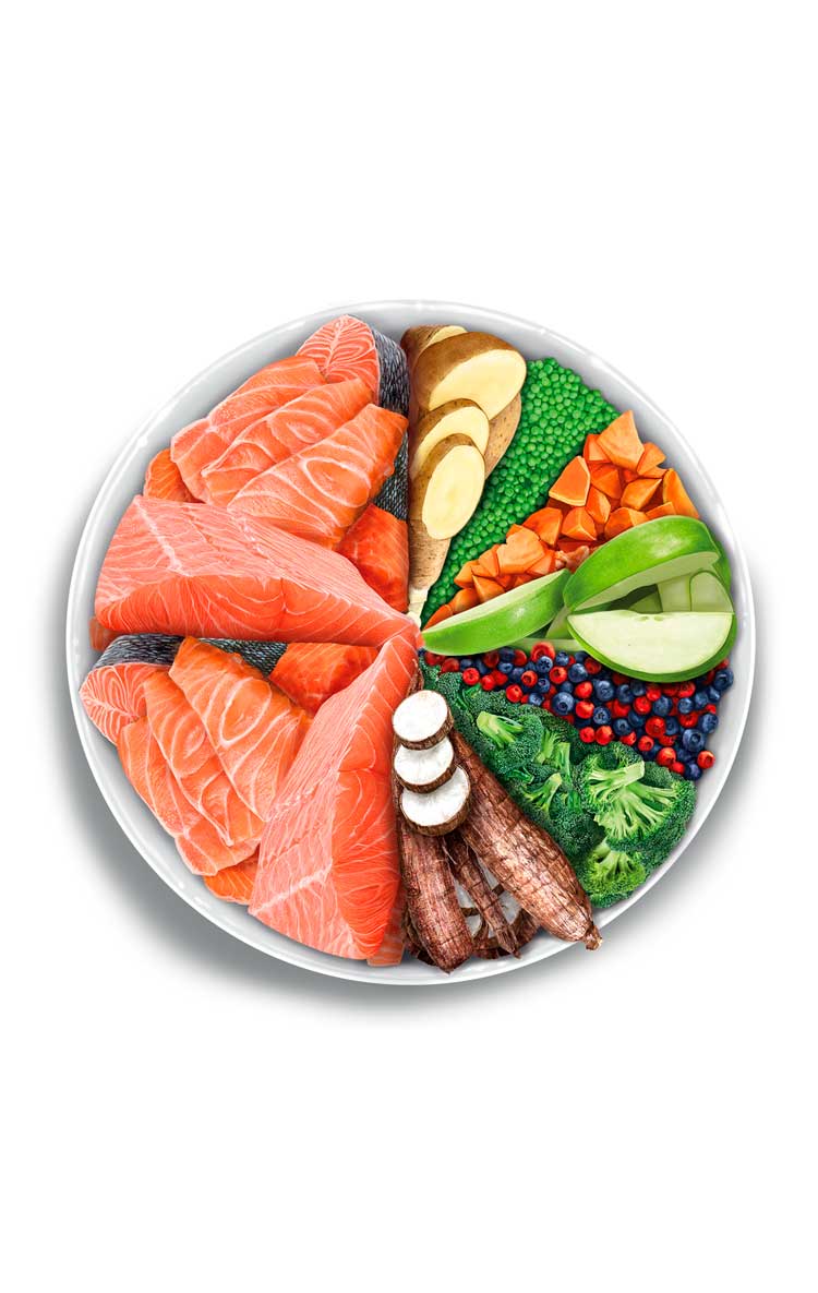 Amanova - Adult sensitive - Salmone Deluxe - Salmone fresco