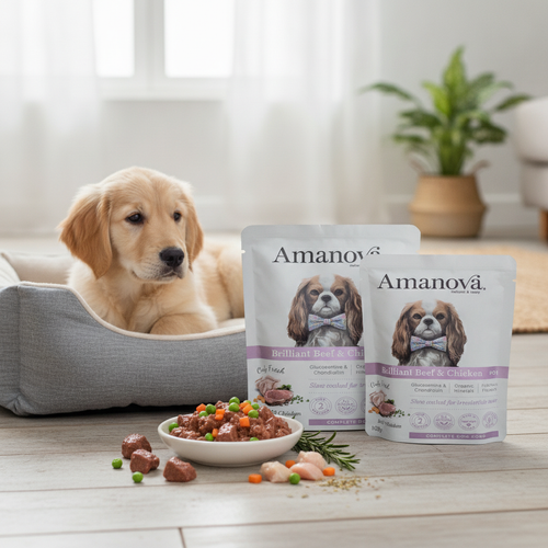 Amanova - pouch brilliant beef & chicken p01